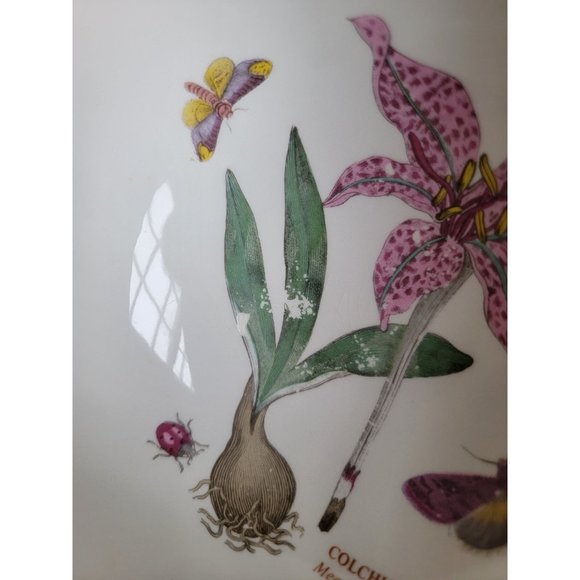 Portmeirion Botanic Gardens AS IS meadow saffron fruit bowl - Picture 9 of 9